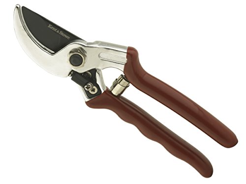 Kent And Stowe Professional Anvil Secateurs