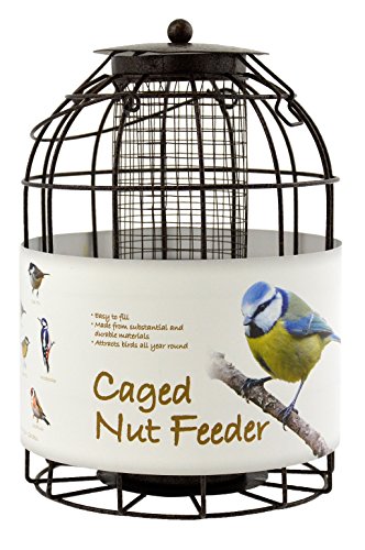 Green Jem Dome Shaped Caged Nut Wild Bird Feeder