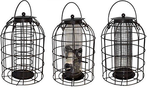 Green Jem Dome Shaped Caged Seed Wild Bird Feeder