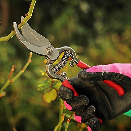 Kent And Stowe 70100476 Traditional Bypass Secateurs