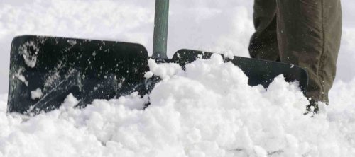 Bulldog Snow Shovel