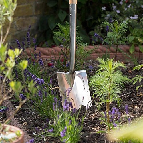 Kent And Stowe Stainless Steel Border Spade