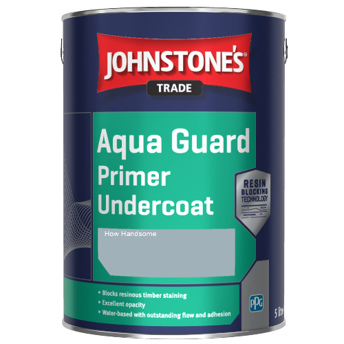 Aqua Guard Primer Undercoat - How Handsome - 2.5ltr